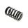VALVE SPRING