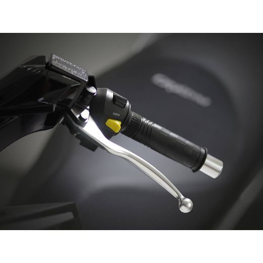 SYM CRUISYM ALFA 300I ABS TCS EURO5 R3