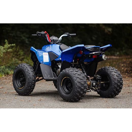 LINHAI ATV 110 EFI 2X4