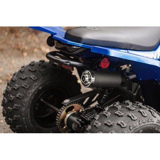 LINHAI ATV 110 EFI 2X4