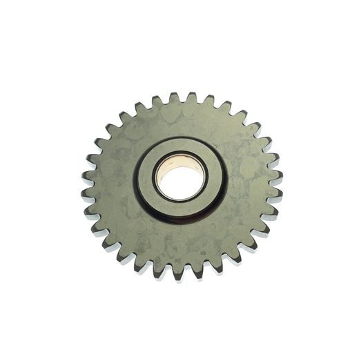 OIL PUMP IDLER GEAR