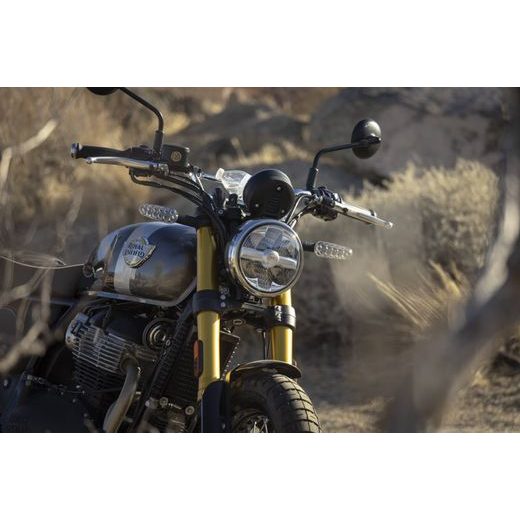 ROYAL ENFIELD BEAR 650