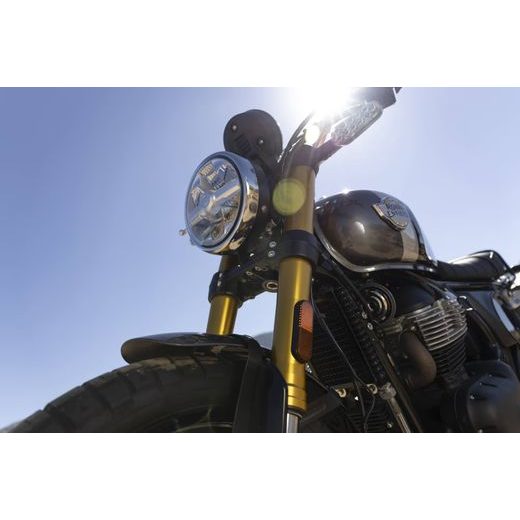 ROYAL ENFIELD BEAR 650