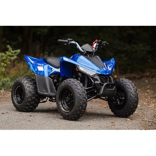 LINHAI ATV 110 EFI 2X4