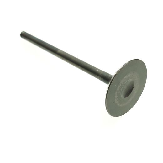 EXHAUST VALVE