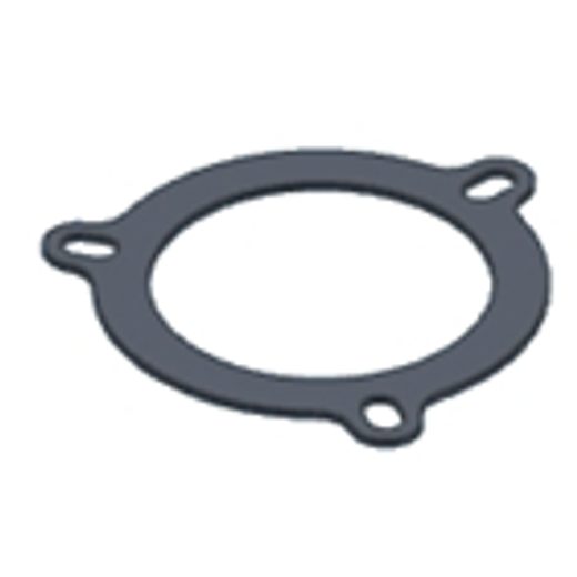 GRAPHITE PLATE GASKET MIVV 50.73.027.1 FOR SMALL FLANGE (3 HOLES)