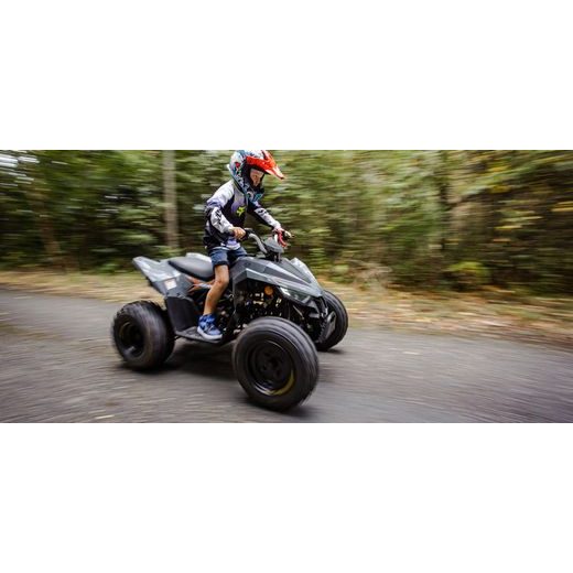 LINHAI ATV 110 EFI 2X4