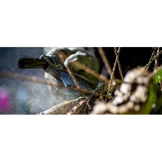 ERGONOMICKÁ KEFA MUC-OFF 204