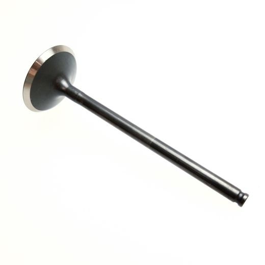 EXHAUST VALVE