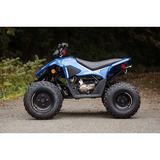 LINHAI ATV 110 EFI 2X4