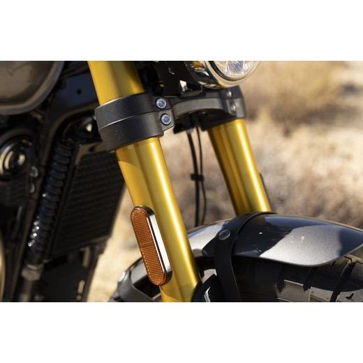 ROYAL ENFIELD BEAR 650