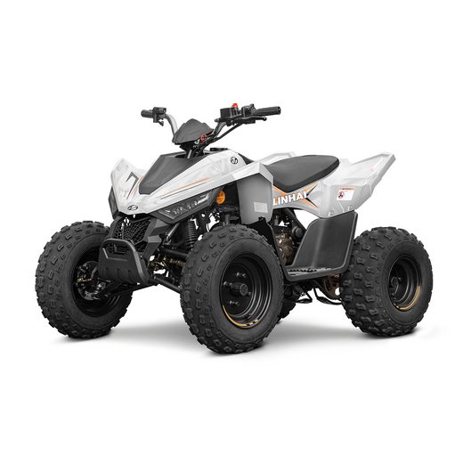 LINHAI ATV 110 EFI 2X4