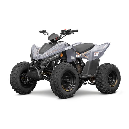 LINHAI ATV 110 EFI 2X4
