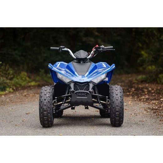LINHAI ATV 110 EFI 2X4
