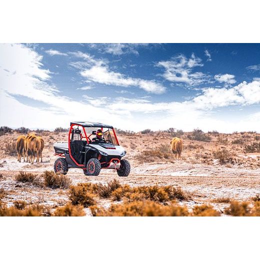 SEGWAY FUGLEMAN UT10 EPS / EFI, 4X4, ALL DIFF LOCK T1B