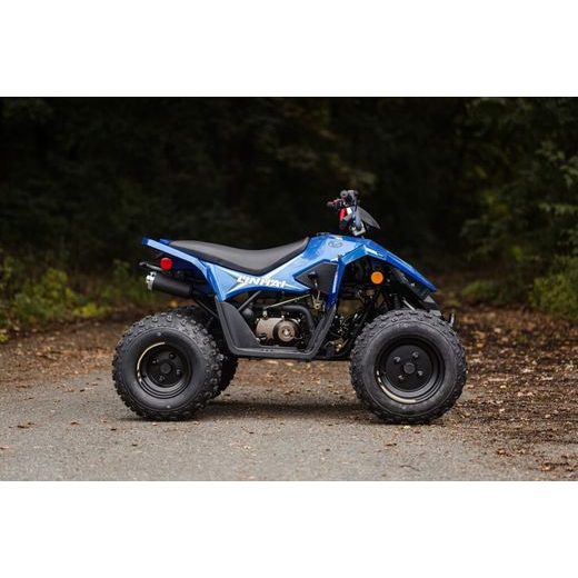 LINHAI ATV 110 EFI 2X4