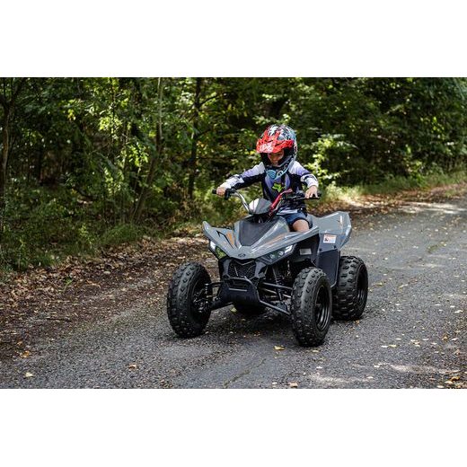 LINHAI ATV 110 EFI 2X4