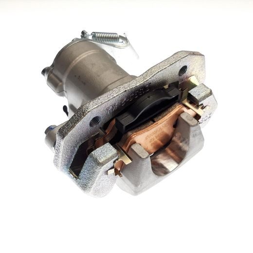 RL BRAKE ASSY