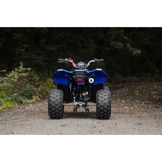 LINHAI ATV 110 EFI 2X4