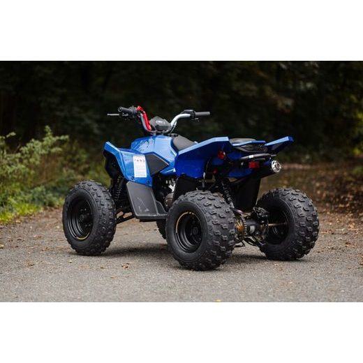 LINHAI ATV 110 EFI 2X4