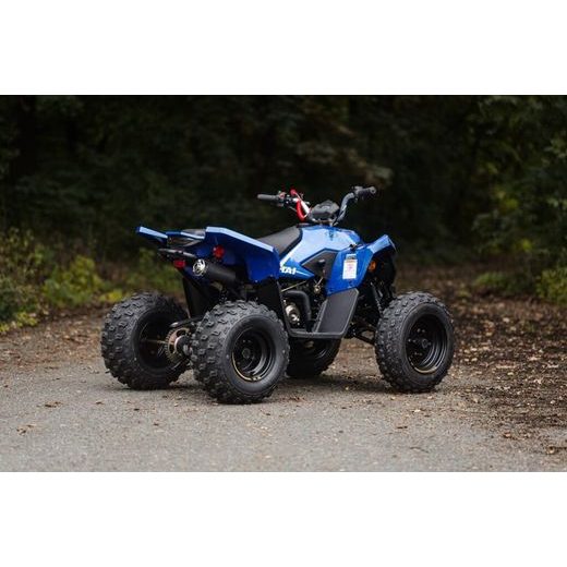 LINHAI ATV 110 EFI 2X4