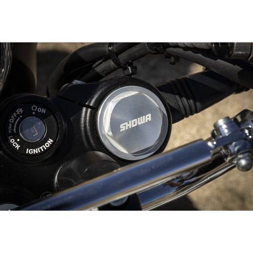 ROYAL ENFIELD BEAR 650