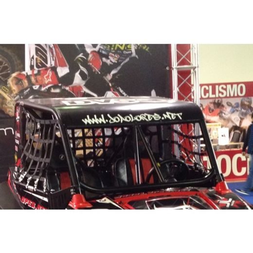 BACK NETS ROLL BAR - RZR 800