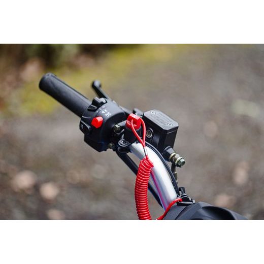 LINHAI ATV 110 EFI 2X4