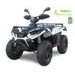 LINHAI ELECTRIC ATV LH40-DA, EURO4