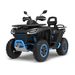 SEGWAY SNARLER AT10 L EPS / EFI, 4X4, ALL DIFF LOCK, EURO5