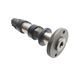 EXHAUST CAMSHAFT ASSY