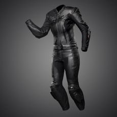 RR LADY BLACK SERIES AR