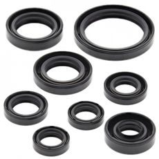 SADA GUFIER MOTORU WINDEROSA 822228