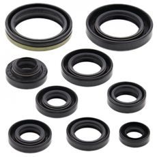 SADA GUFIER MOTORU WINDEROSA 822131