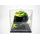 RPHA01R MINI-CRUTCHLOW