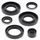 Sada gufier motoru WINDEROSA 822290