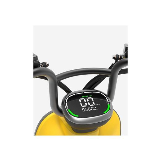 SEGWAY ESCOOTER B110S