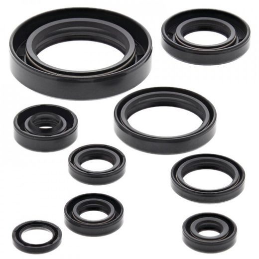 SADA GUFIER MOTORU WINDEROSA 822177