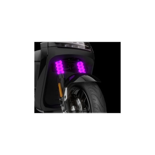 SEGWAY ESCOOTER E110S