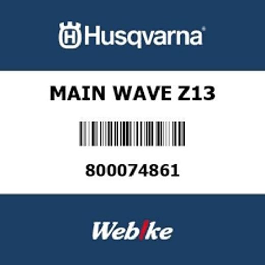 MAIN SHAFT T13 OEM : 800074861