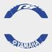 POLEP ADVANCED PRO YAMAHA R1 BLUE 3