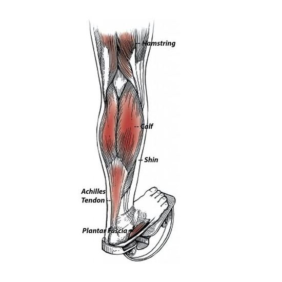 Sportago protahovač hamstringu