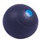 Sportago Slam Ball 10 kg - modrý