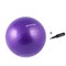Gymnastický míč Sportago Anti-Burst 55 cm, fialový, včetně pumpičky