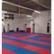 Sportago Tatami Taekwondo podložka 100x100cm červeno-modrá