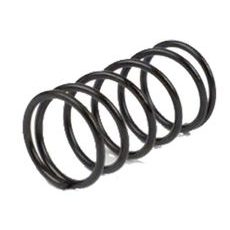 PIN SPRING COVER RMS 121890120