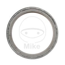 TĚSNĚNÍ SVODU VÝFUKU ATHENA S410190012017 39X50X2 MM