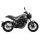 Benelli Leoncini 250