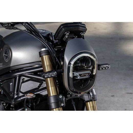 BENELLI LEONCINO 800