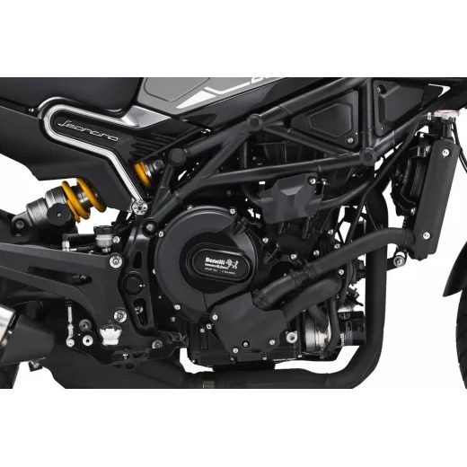 BENELLI LEONCINO 800